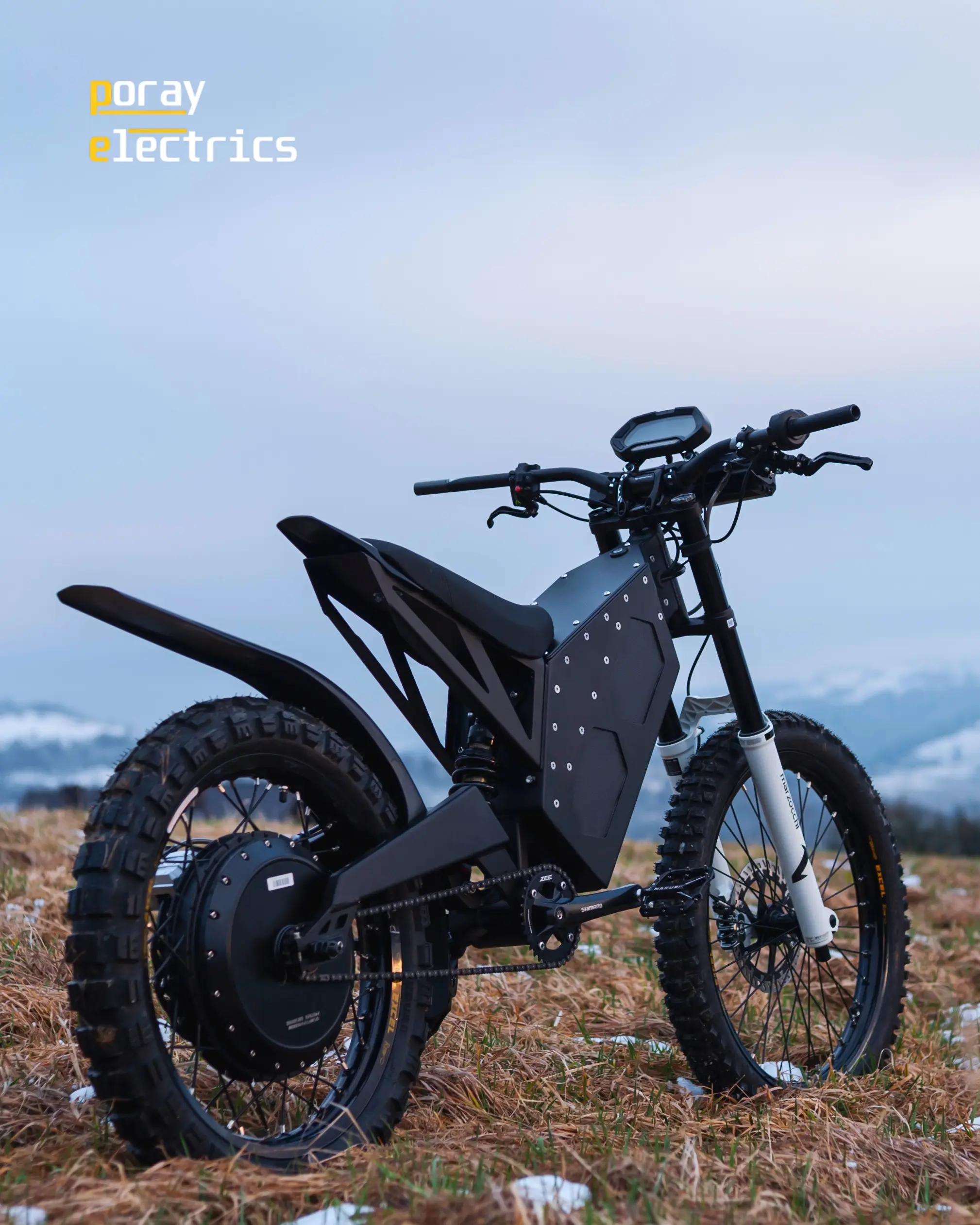 Poray Electrics Intruder - zdjęcie 4