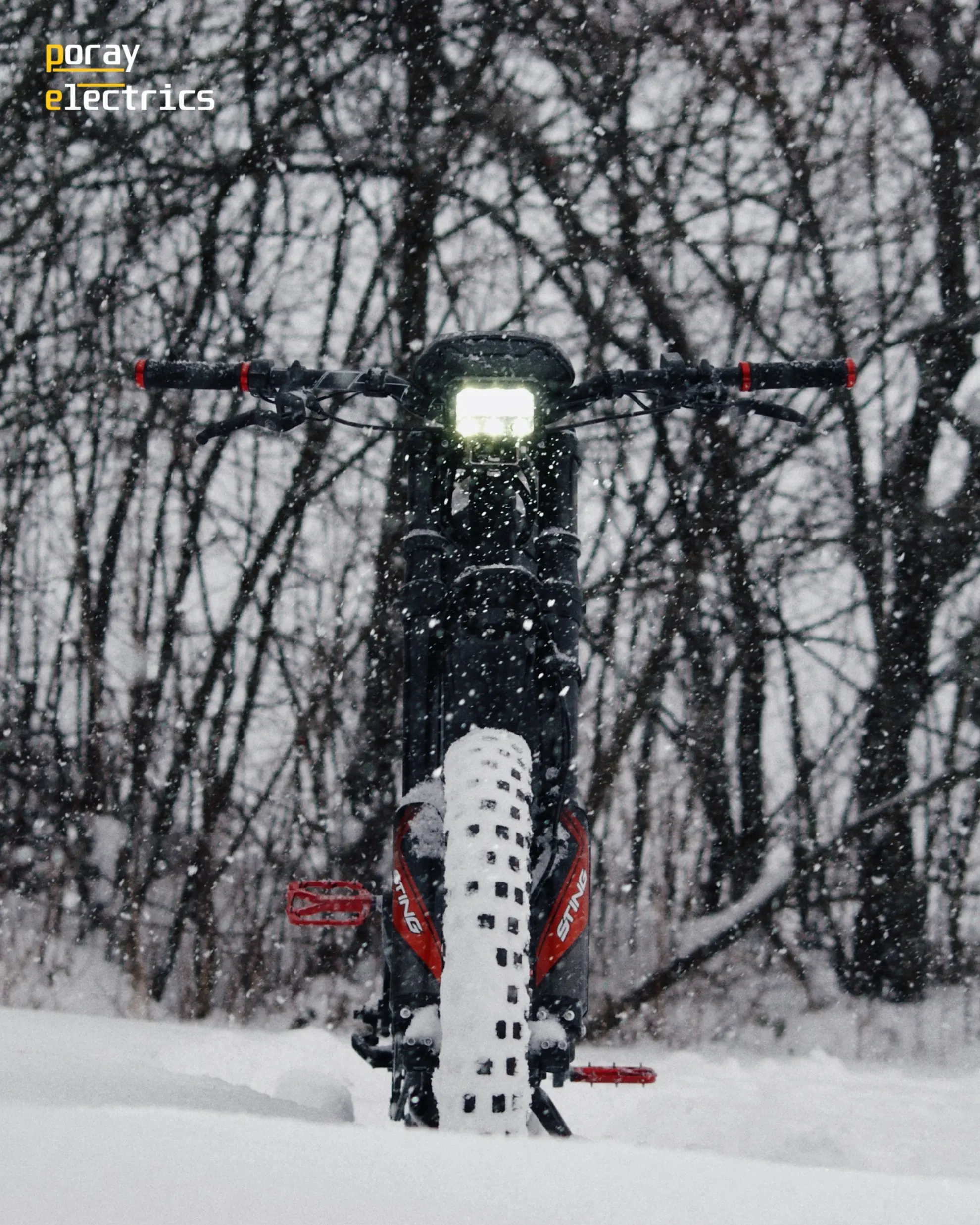 Poray Electrics Intruder - zdjęcie 4