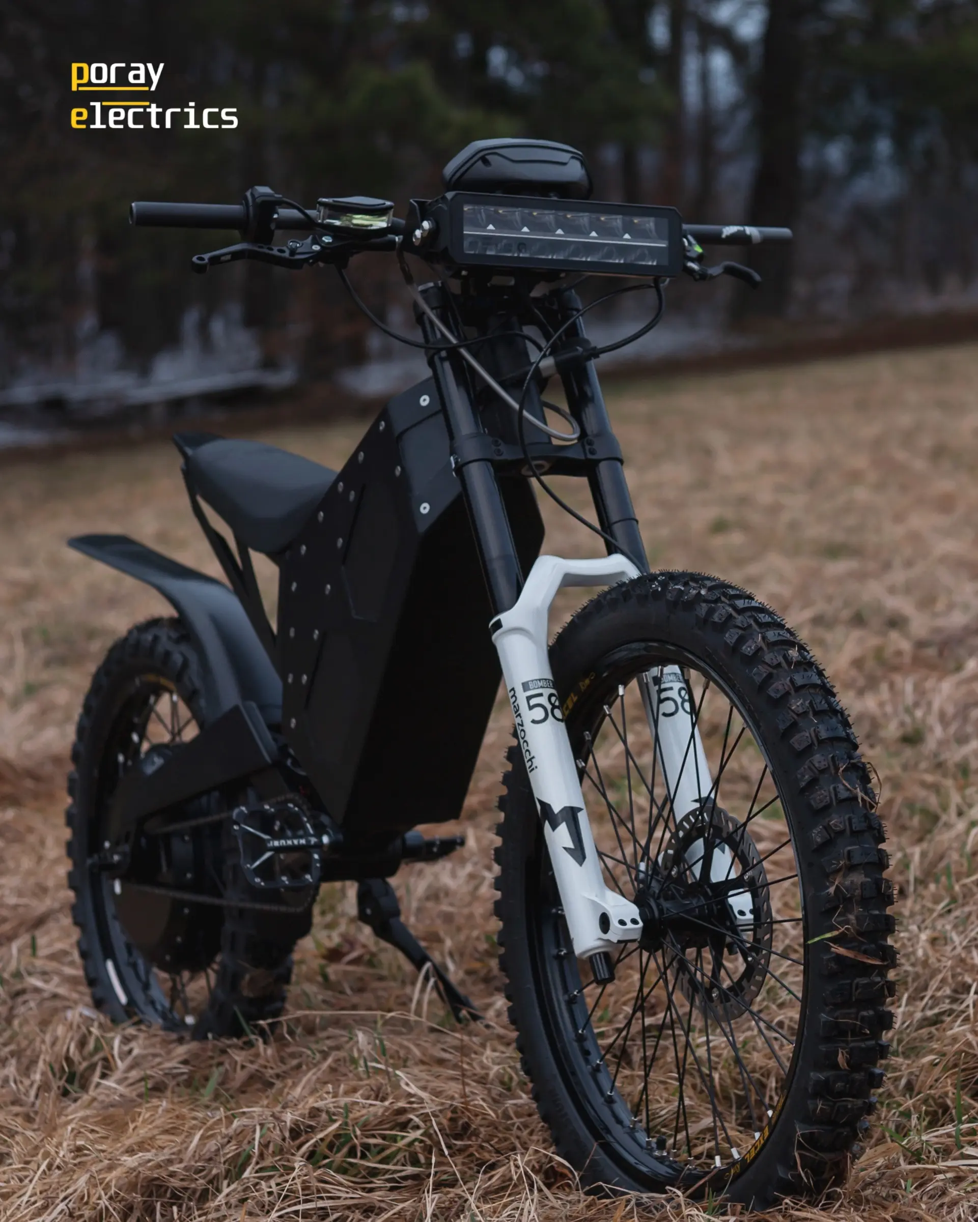 Poray Electrics Intruder - zdjęcie 3