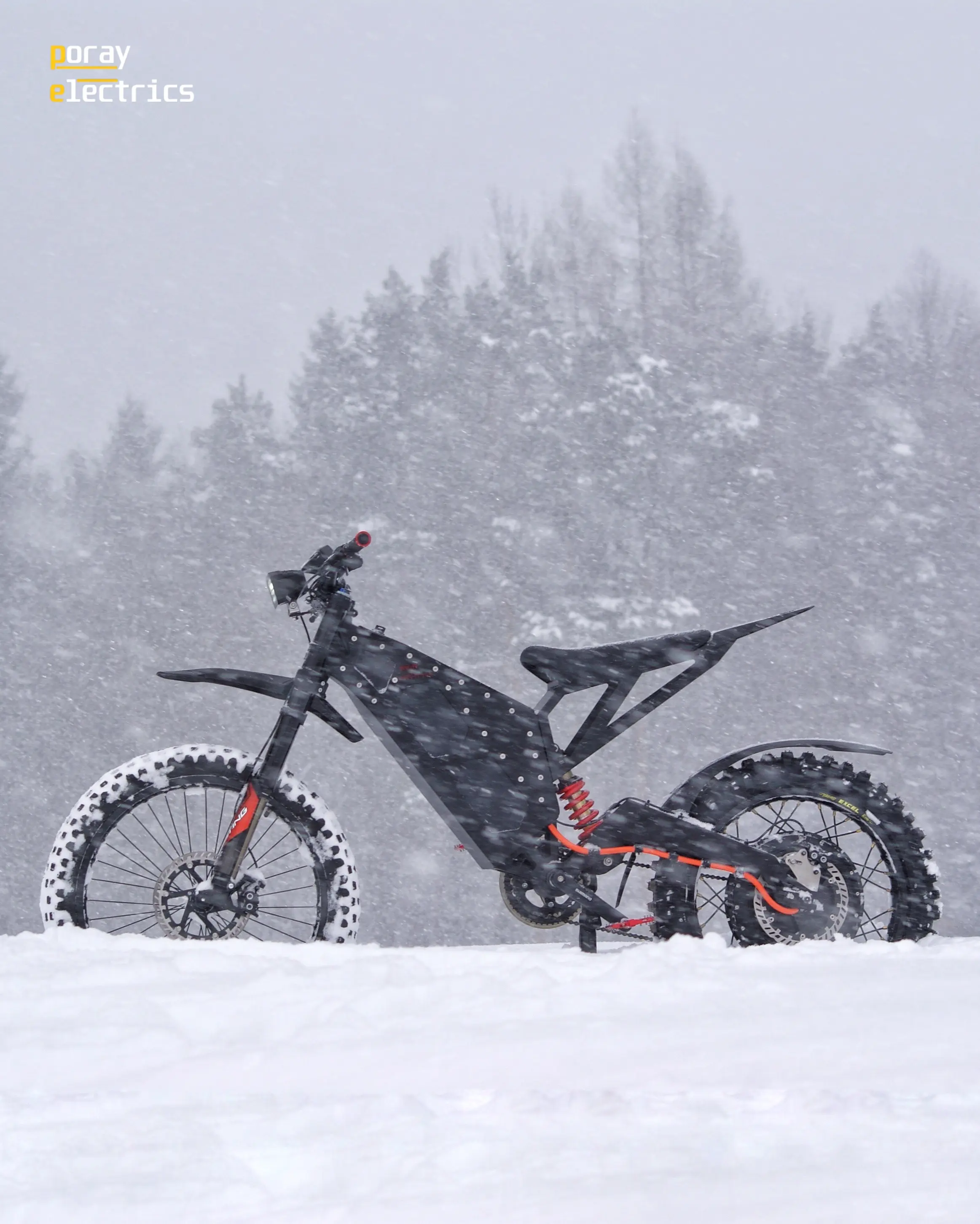 Poray Electrics Intruder - zdjęcie 2