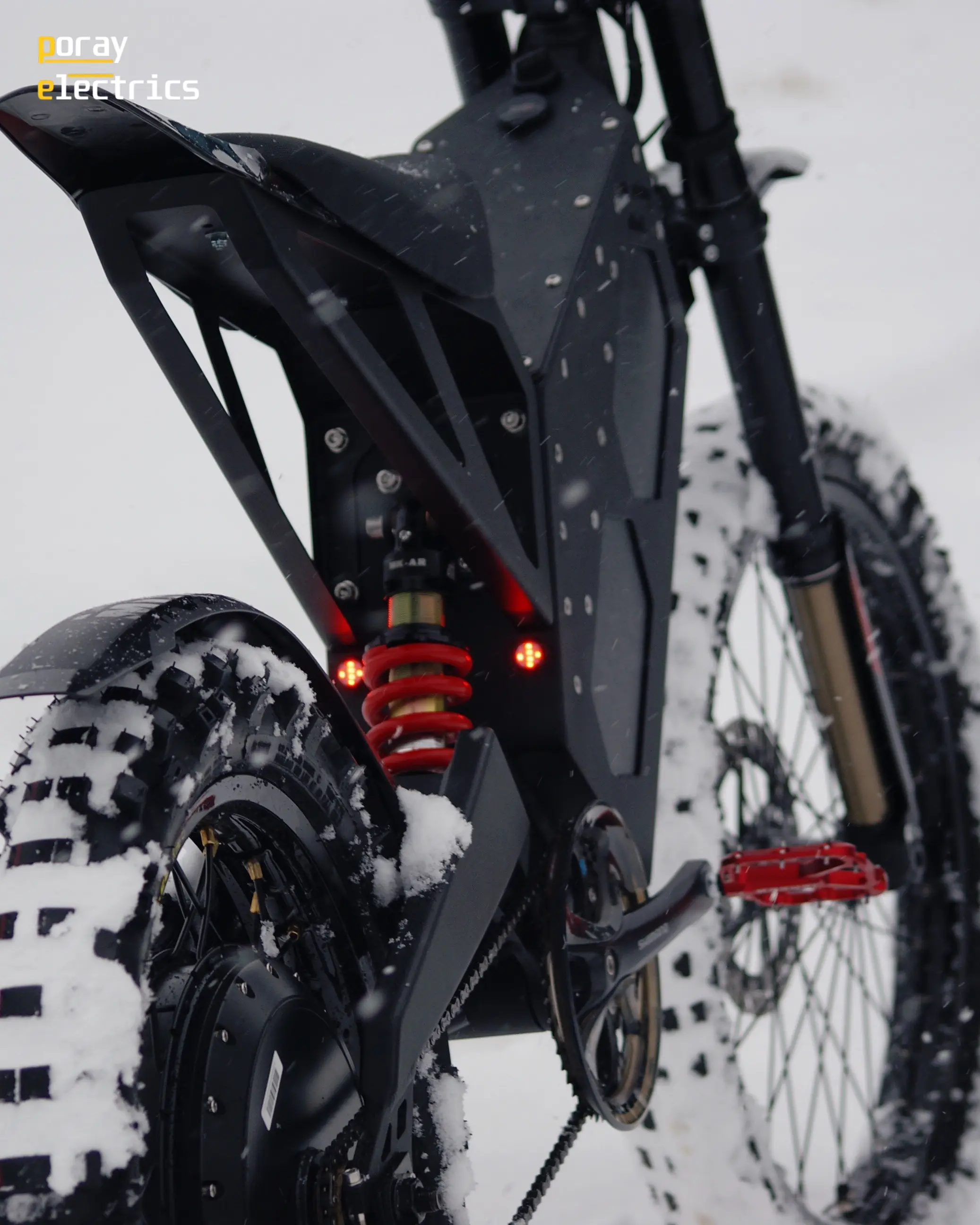 Poray Electrics Intruder - zdjęcie 3
