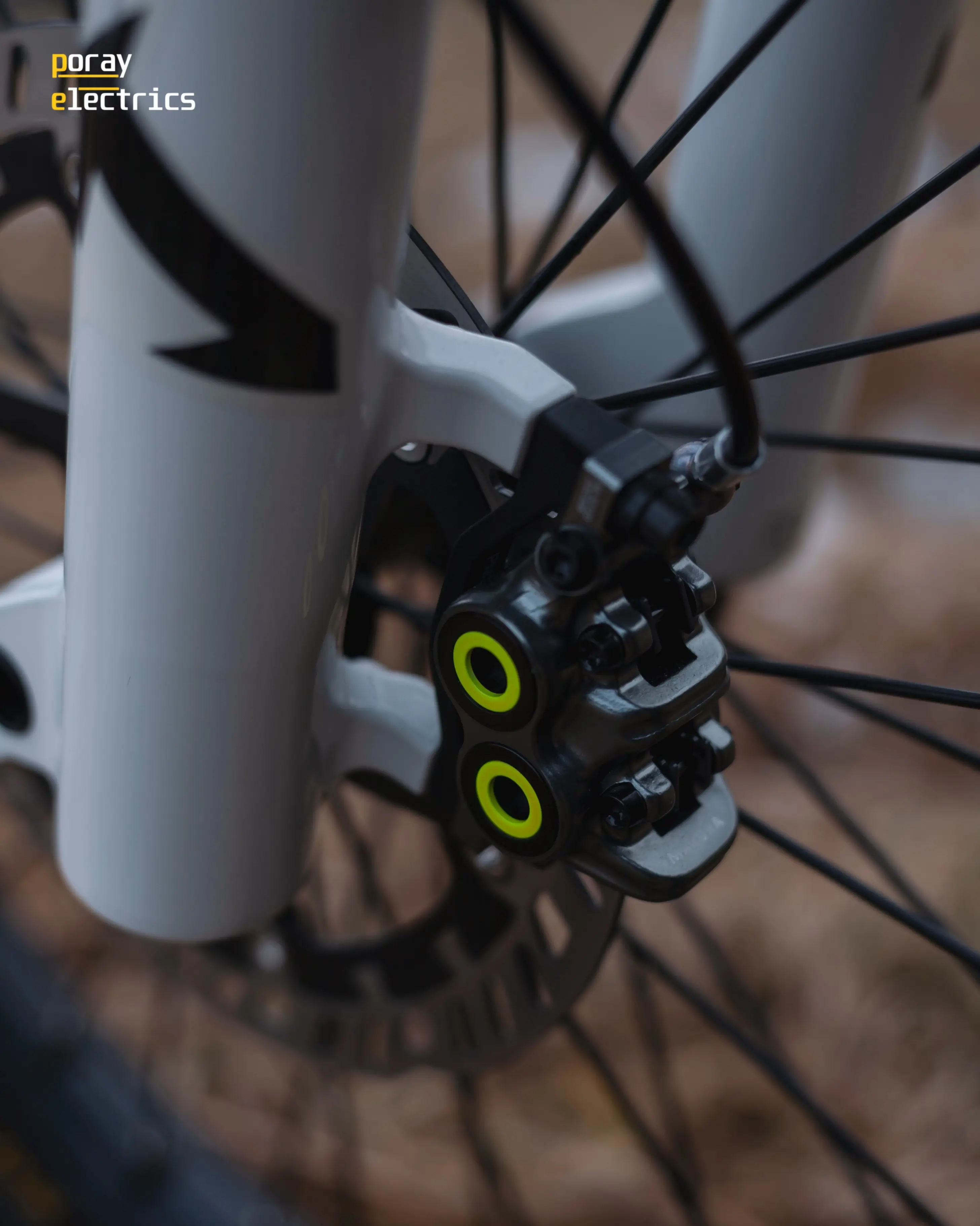 Poray Electrics Intruder - zdjęcie 4