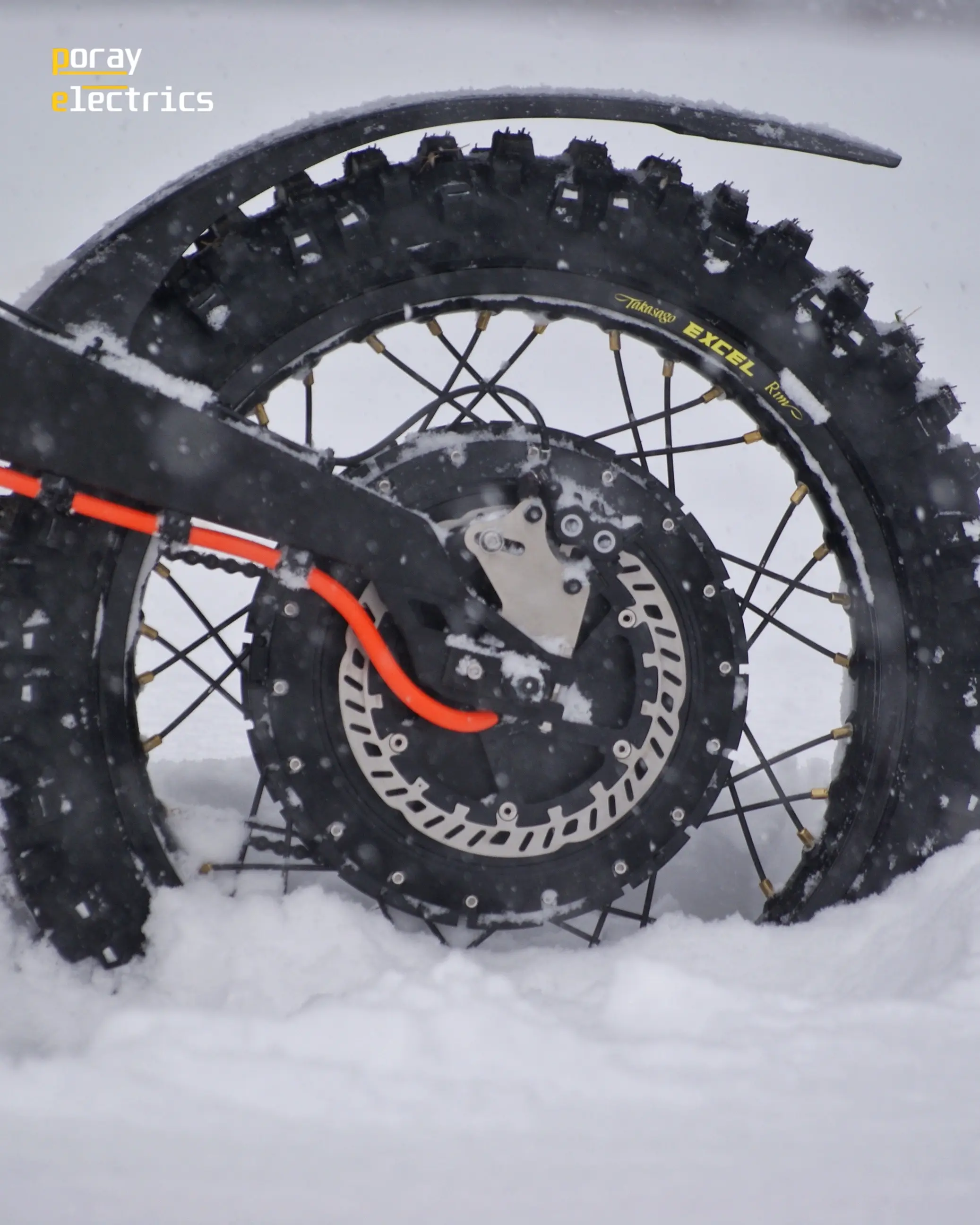 Poray Electrics Intruder - zdjęcie 4