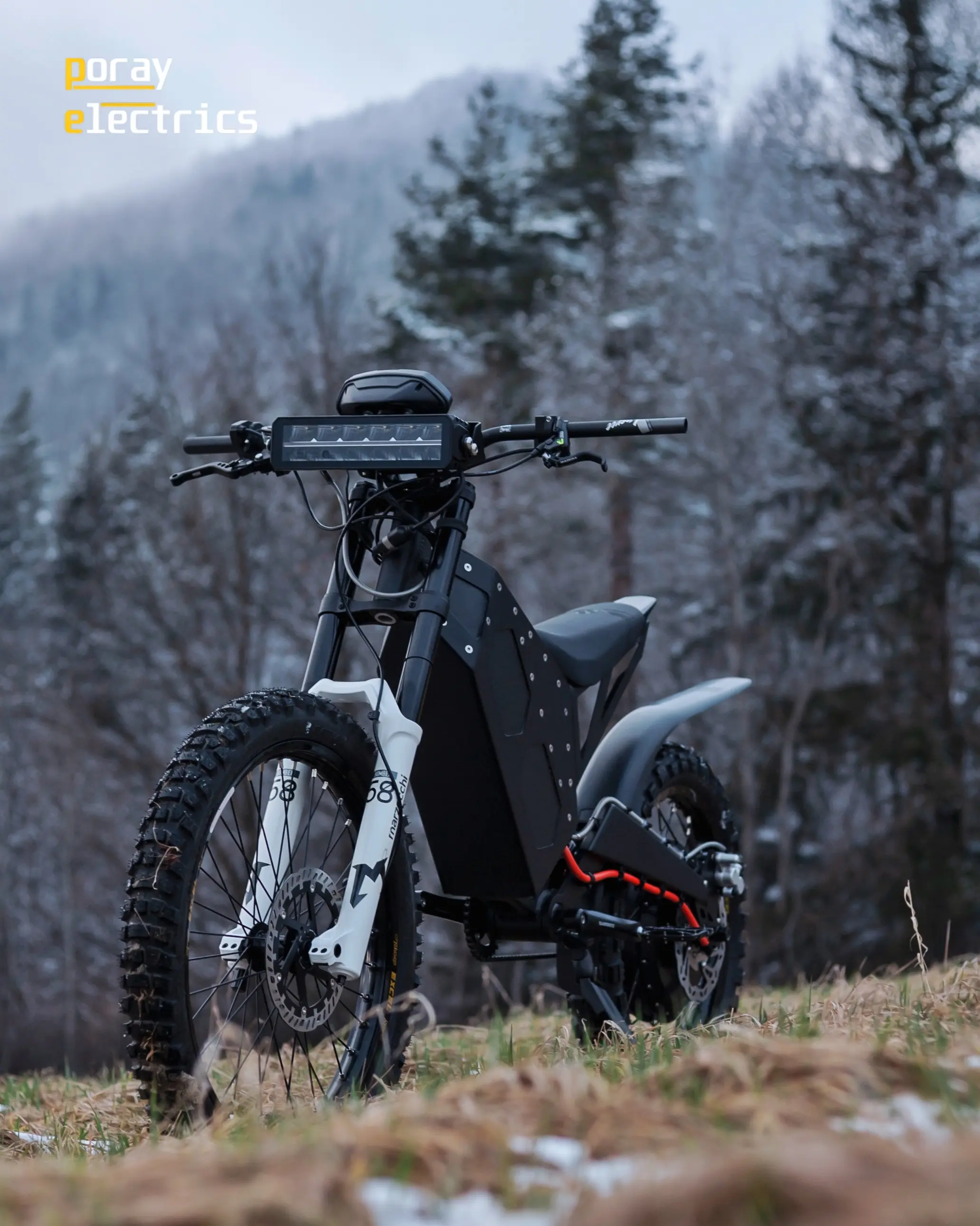 Poray Electrics Intruder - zdjęcie 4